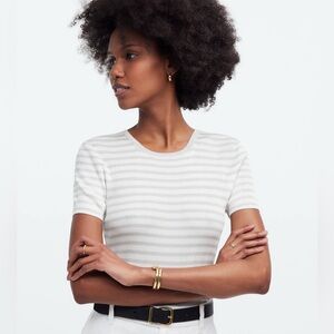 Madewell Micro-Rib Sweater Tee in Momentum